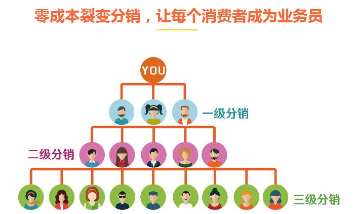 分销网站建立_分销计划