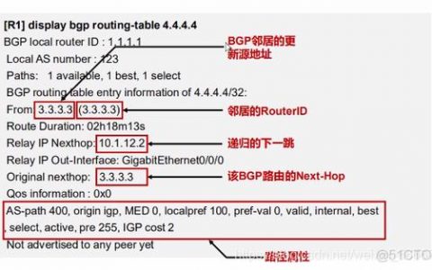 服务器BGP租用价格差异,静态BGP、全动态BGP与优选BGP有何特性?