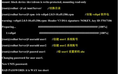 如何成功搭建FTP服务器，一份详尽的实验报告指南？