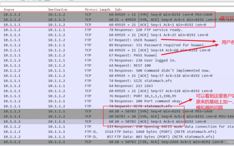 如何利用FTP服务器命令管理宠物信息数据库?