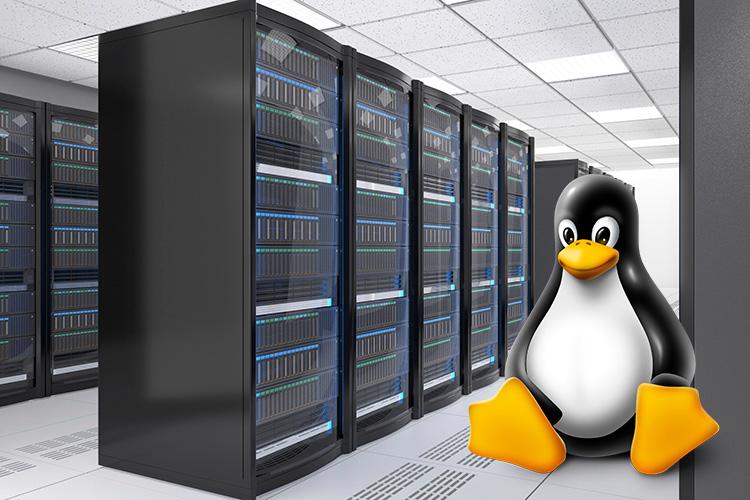 服务器linux建站_登录Linux服务器