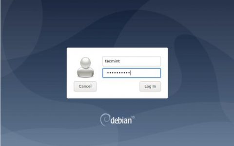如何在Linux服务器上建立网站并成功登录？