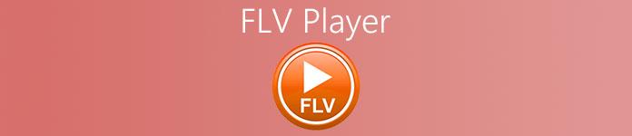 flv视频播放器 _FLV视频流播放器