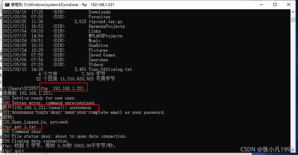 ftp服务器端代码_FTP