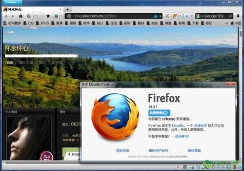firefox插件_配置Firefox浏览器