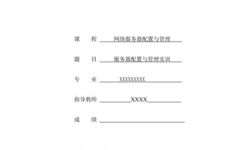 如何高效进行服务器配置实训与管理任务归纳？