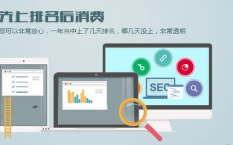 如何有效地进行付费网站推广及SEO设置？