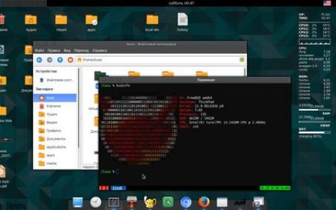 FreeBSD 云服务器镜像维护将如何调整以应对服务与支持的终止？