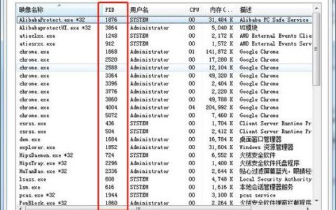 如何高效查询服务器上的进程列表？