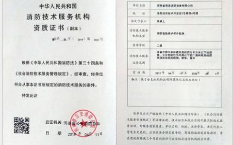 如何确保服务器维保资质成功通过提交审核？