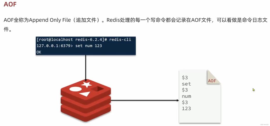 分布式缓存软件_分布式缓存（Redis）