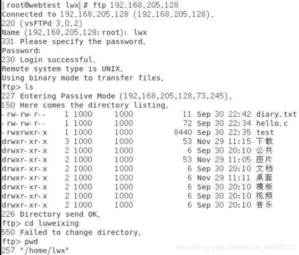 FTP服务器实验结果分析_实验结果