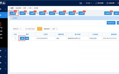 如何高效地在服务器上分配虚拟主机并处理相关工单？