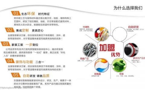 Flash网站和DLV技术，它们在现代网络中扮演什么角色？