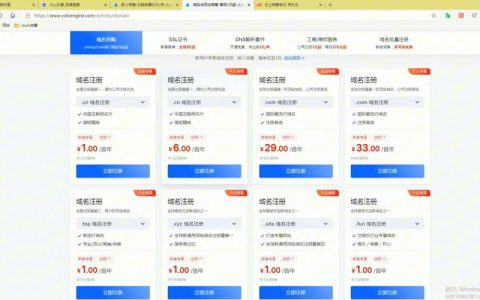 服务器购置与域名续费预算指南，费用究竟几何？