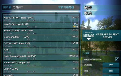 外国玩家在方舟手游中通常选择哪个服务器？