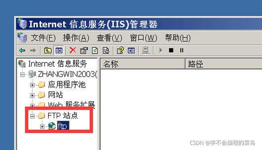 ftp服务器软件 web_FTP
