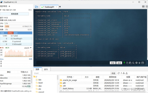 如何正确配置MySQL的登录数据库连接名和登录用户名？