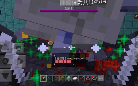 为什么进入我的Minecraft服务器后屏幕一片漆黑？