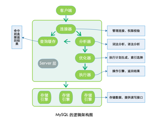 mysql 查数据库表结构图_数据库逻辑结构图