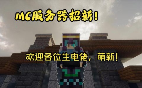 如何在我的世界服务器中添加插件以实现传送（TP）功能？