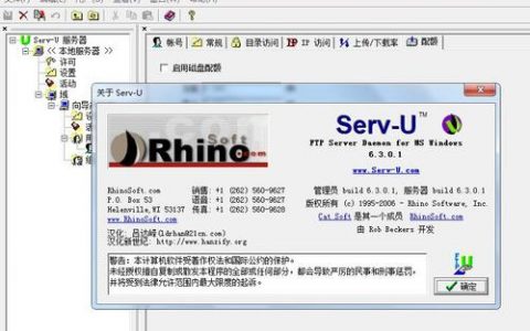 如何有效管理和维护ServU FTP服务器以确保数据安全和性能优化？