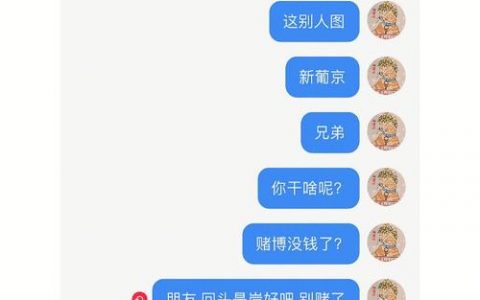 萝卜密聊服务器遭遇封禁，背后的原因是什么？