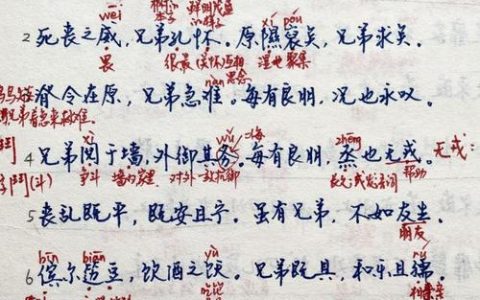 探索未知，mb8463_究竟隐藏了哪些秘密？
