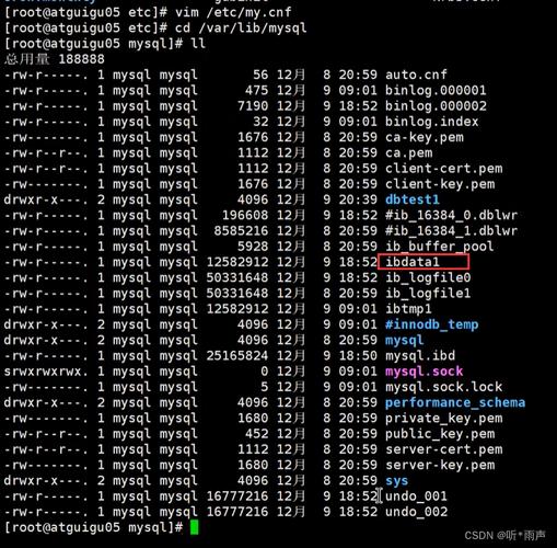 mysql数据库服务在哪个目录_服务目录