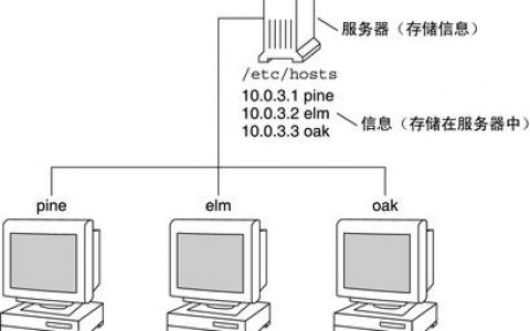 服务器系统与家用系统的差异性究竟体现在哪些方面？