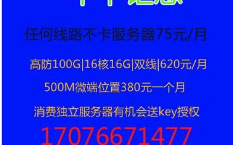 如何确保在服务器先租用后付款的模式下进行安全的线上支付？