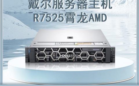 将服务器用作家用主机有哪些潜在优势和风险？