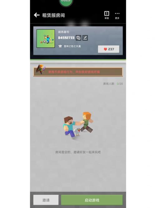 我的世界ice服务器编号是什么意思