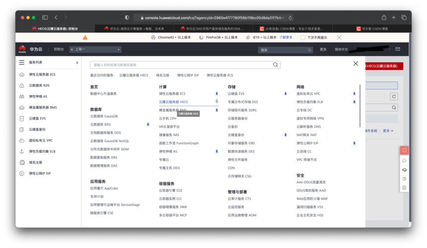 服务器低价_Flexus应用服务器L实例和原云耀云服务器是什么关系？