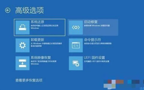 如何找到Windows 10中的高级选项设置？