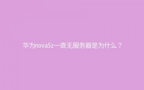 华为为何不追随苹果的脚步进入服务器市场？