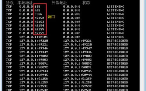 如何有效查询服务器主机的开放端口？