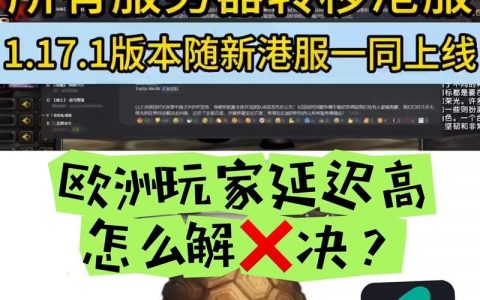 乌龟服四服务器之间存在哪些关键差异？