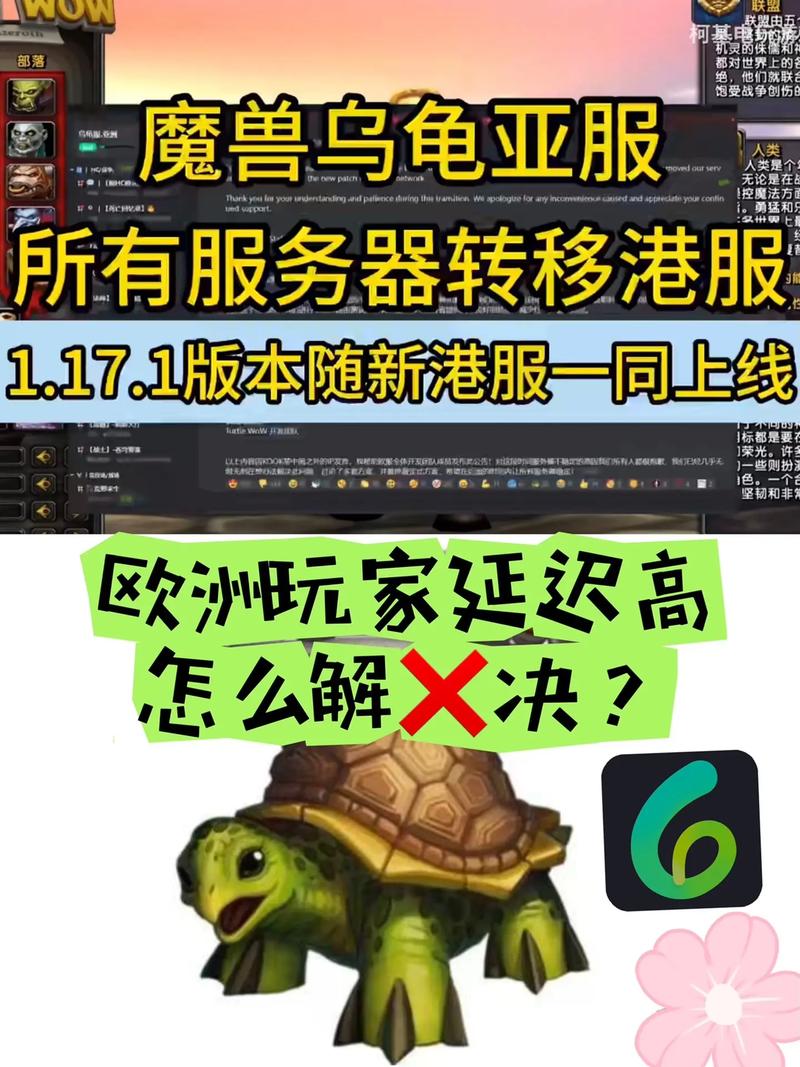 乌龟服4个服务器有什么区别