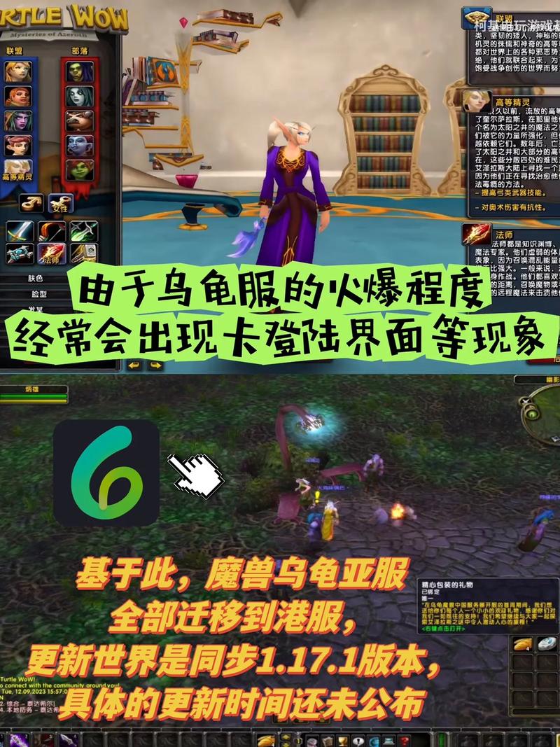 乌龟服4个服务器有什么区别