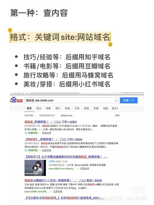 媒体域名查询_媒体