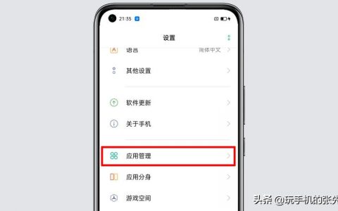 如何在手机上找到系统桌面设置选项？