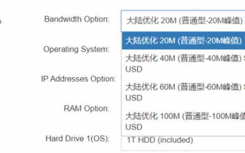 理解服务器20m带宽的实际意义是什么？