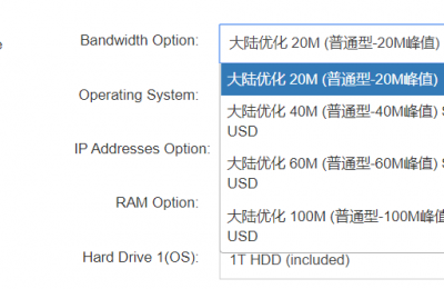 服务器20m带宽是什么概念啊
