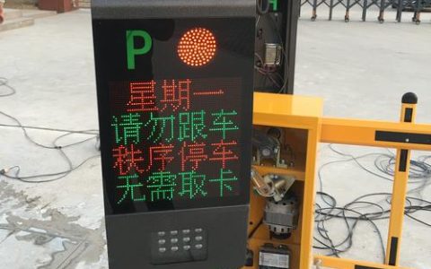 为何手动停车场无法接入服务器系统？
