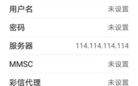 如何正确填写手机电信接入点的服务器信息？
