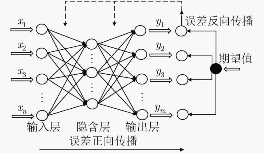 反向传递神经网络_反向建模