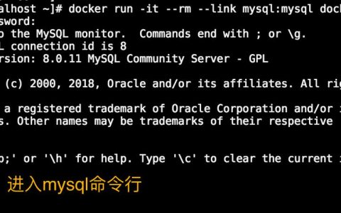 如何在MySQL容器中执行命令？