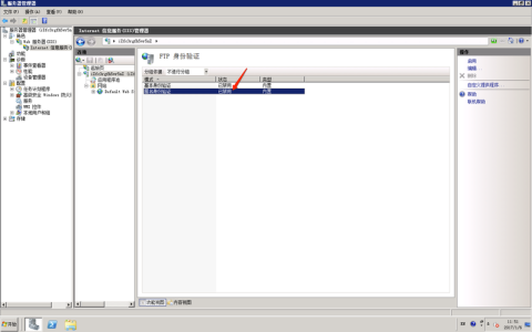 如何选择合适的服务器FTP软件以优化文件传输效率？