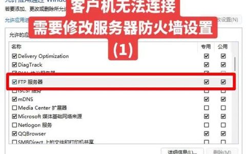 如何配置FTP服务器以禁止文件复制并确定不可删除的文件？
